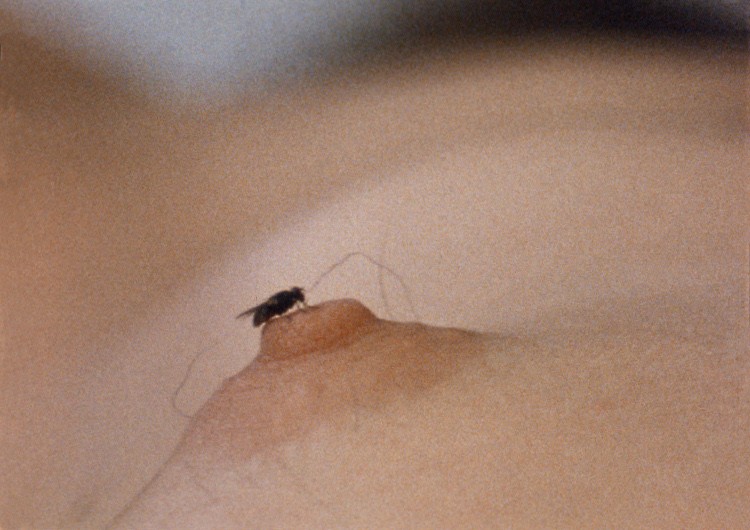 tl_files/liebreiz/bilder/allgemein/Yoko-Ono-Fly-Filmstill-1970.jpg